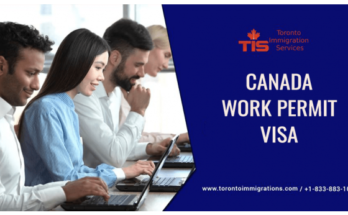 How You can Get a Canada Work Permit - Apply Work Visa For Canada