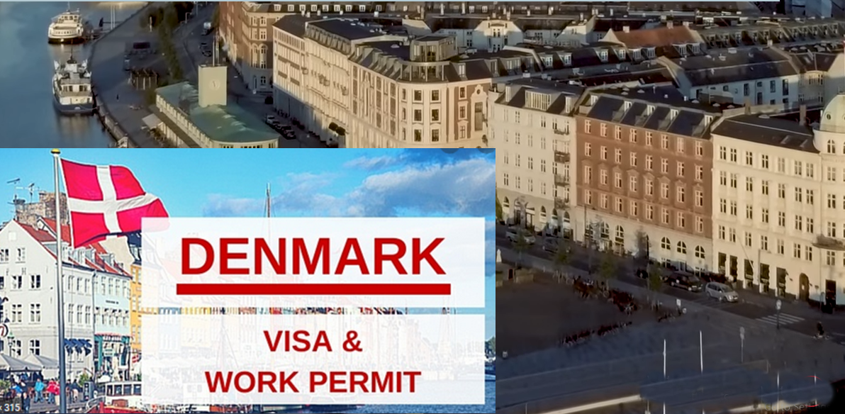 Denmark Student Visa Application Form Apply For Danish Student Visa Online Pay My Bill