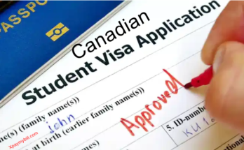 How To Apply For A Canadian Student Visa (5 Easy Steps)